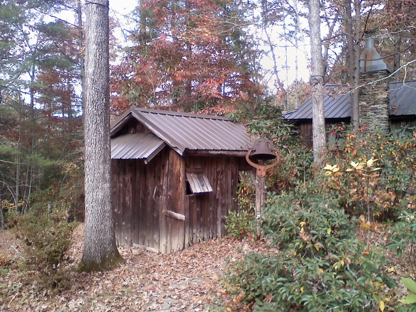 Small metal roof on a rough sawn shed in the woods in Lewisport