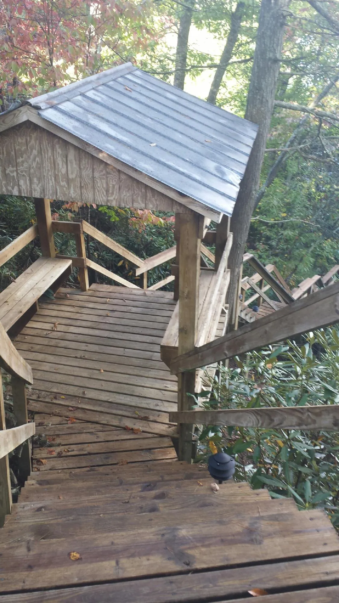 Metal roofed shelter over wooden steps on a wooded walkway — Skylight Repair & Installation work by our crew in Lewisport