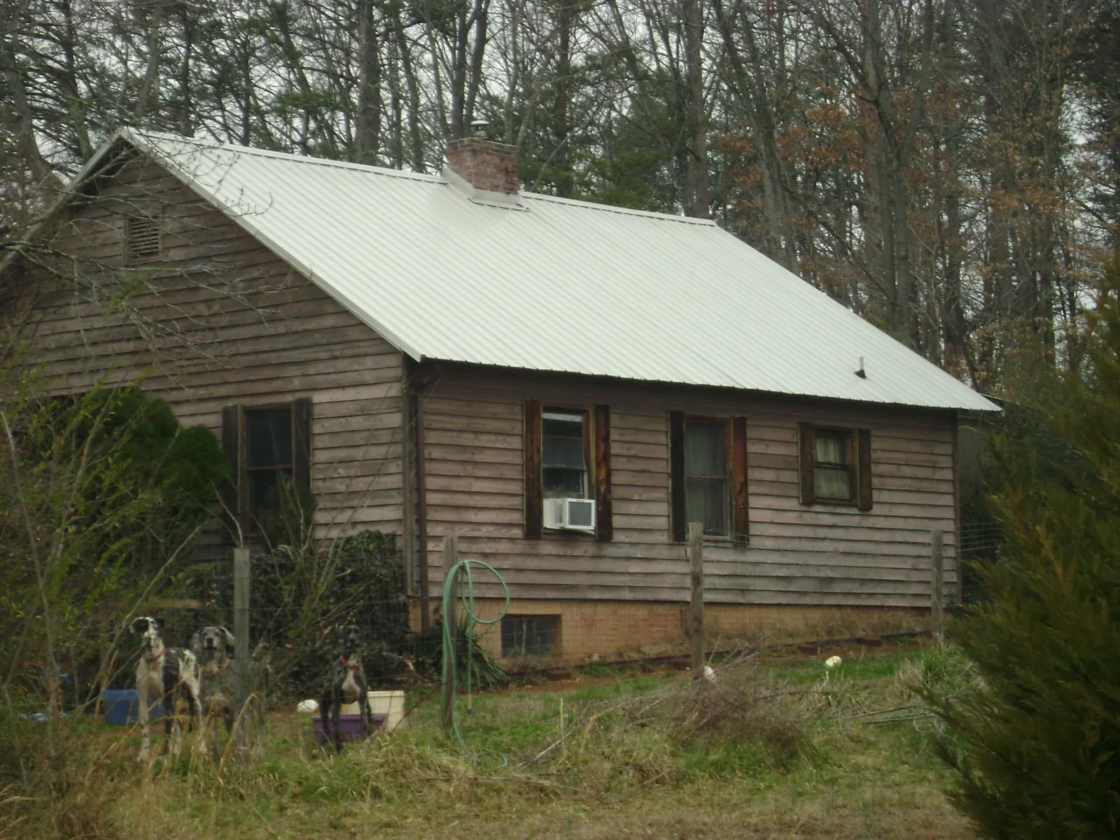 White metal roof on an old wood sided farmhouse, from a Asphalt Shingle Roof Repair job in Lewisport